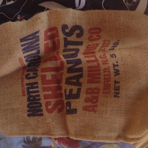 Colorful Parrot and Pirate Themed Items (5) - Picture 2 of 5